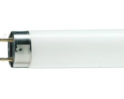 Лампа люмінісцентна 36W/54-765 (1,2 м)