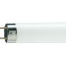 Лампа люмінісцентна 36W/54-765 (1,2 м)